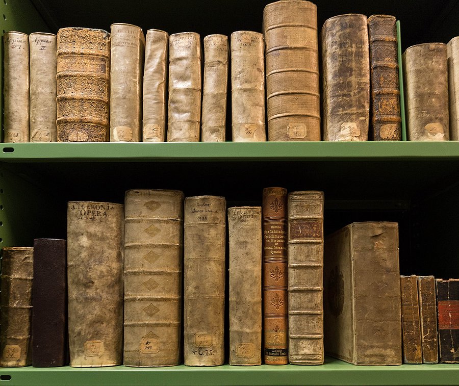 csm WDG1 Aufstellung 33648a83ee