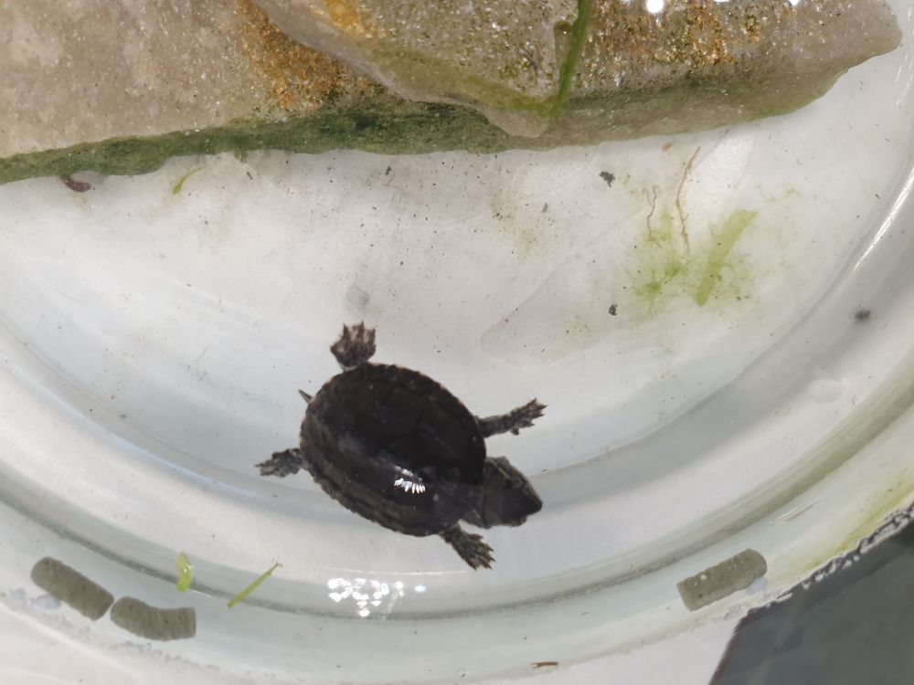 20210206 144406 1000x750