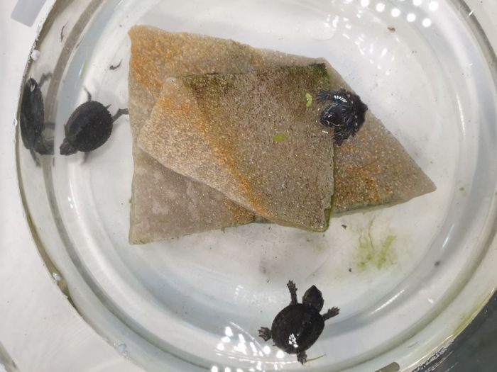 20210206 144414 700x525