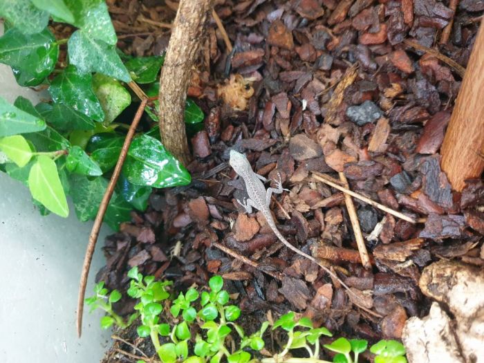 20210220 133721 700x525