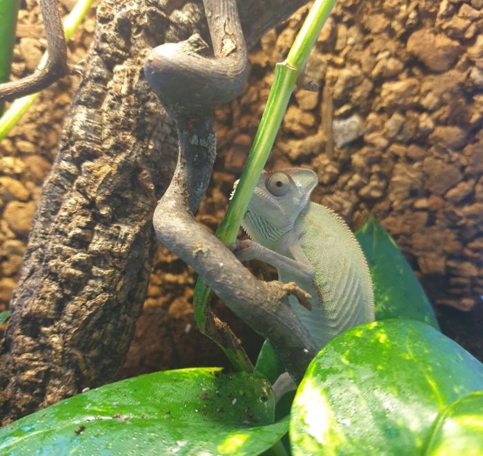 20210310 175011 700x660