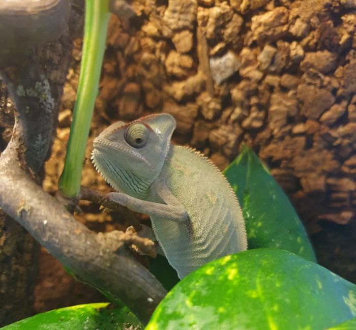 20210310 175101 700x649