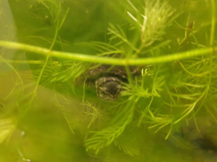 20210310 204421 700x525