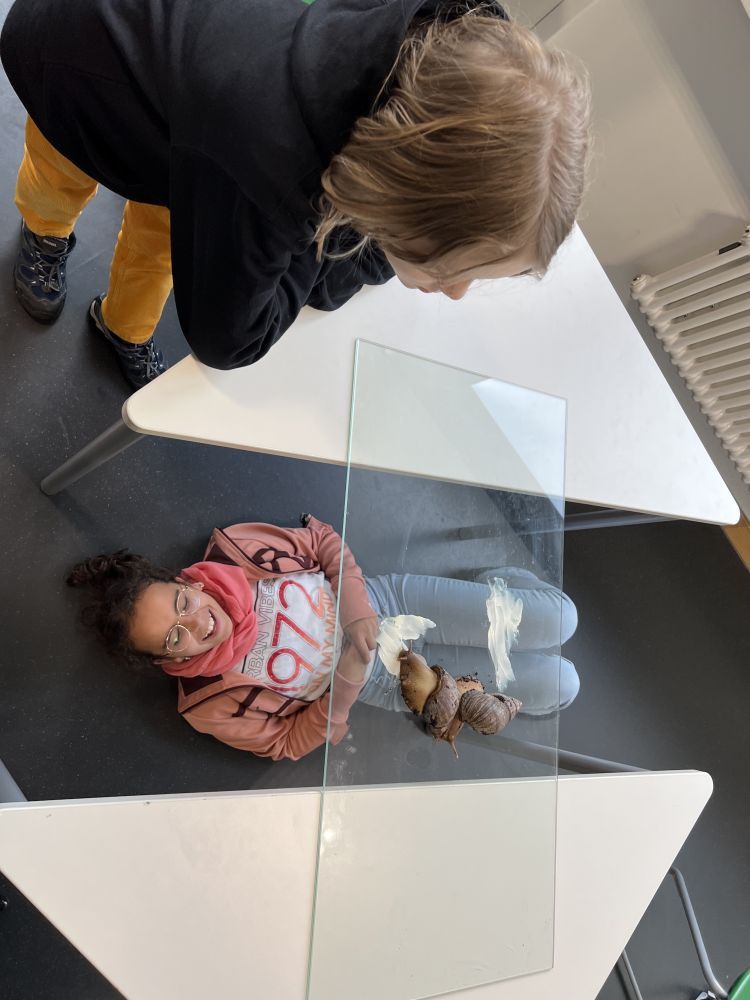 02ag schnecken 750x1000