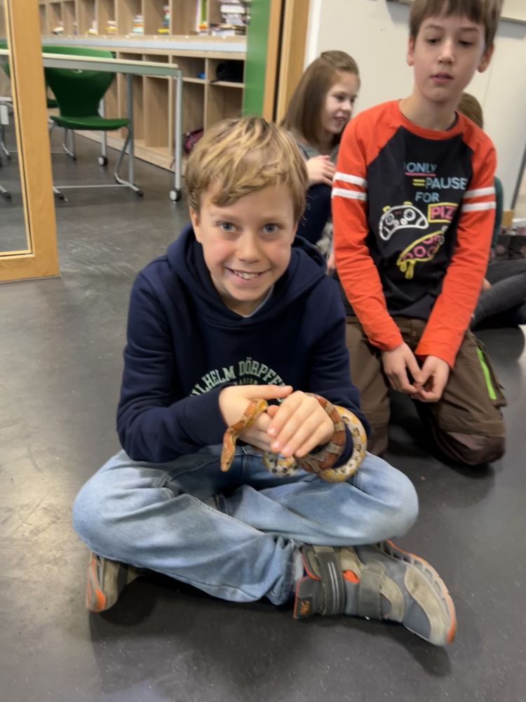 06ag schlangen 750x1000