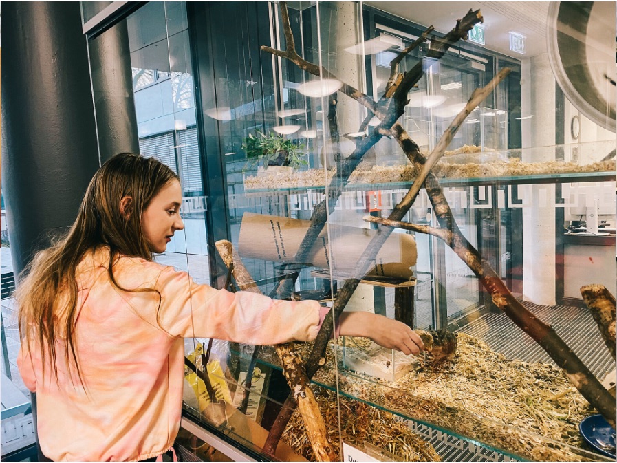 SchuB   Mehr Tiere als Schuler