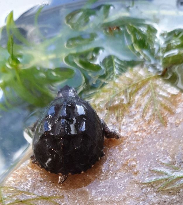 img 20210214 wa0000 626x700