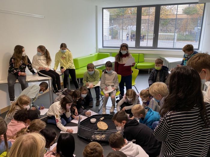 klassentier5a2 700x525